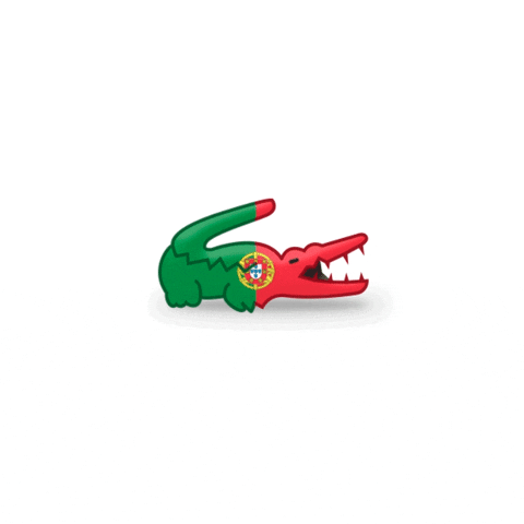 portugal ok GIF by LACOSTE