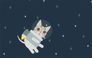 lil bub space GIF by will herring