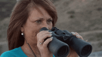 Spying I See GIF by Nat Geo Wild