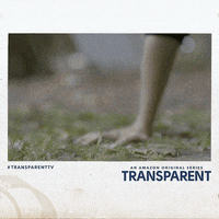 amazon GIF by Transparent