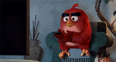 bird popcorn GIF by Angry Birds