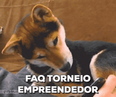 gabrielakurtz  GIF