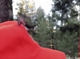 cmerda  GIF