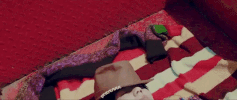 K-Pop Sleeping GIF