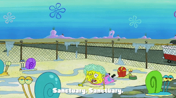 season 9 sanctuary GIF by SpongeBob SquarePants
