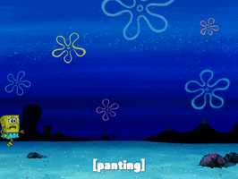 200.gif?cid=fc005b0856860a0b95d18f7f3a3d77f48e9ac6ff95023268&rid=200.gif&ct=g