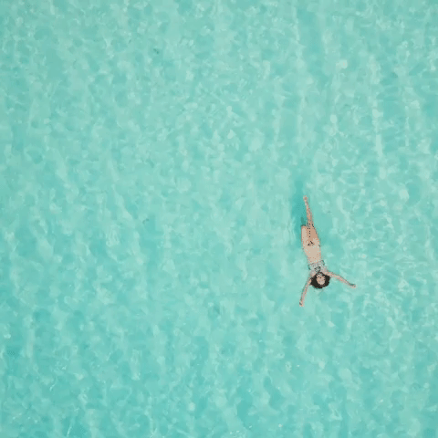 FBNC beach island paradise NEWCALEDONIA GIF