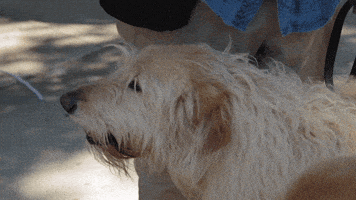 nicki minaj dog GIF by DNCE