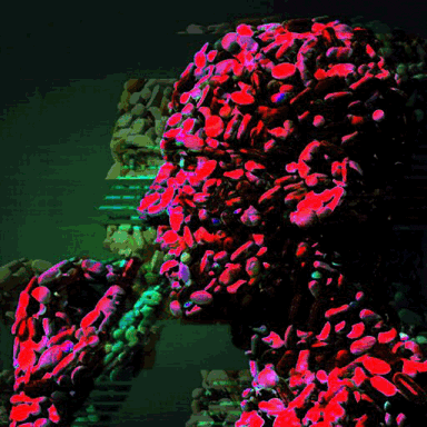 Digital Art Loop GIF by Death Orgone