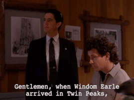 Season 2 Episode 20 GIF by Twin Peaks on Showtime