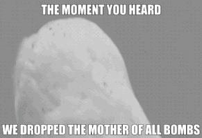 mightyteam army military navy air force GIF