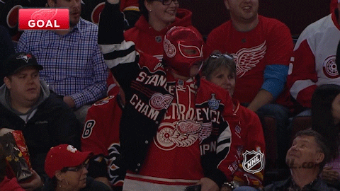 detroit red wings gifs