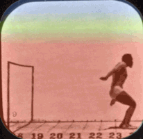 Coastal art vintage colors olympic GIF