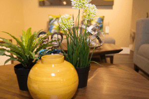 executivefurnrent  GIF