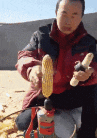 Corn Lyfe GIFs - Find & Share on GIPHY