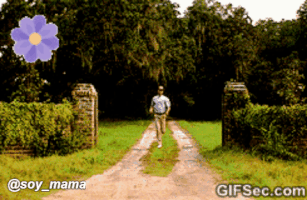 vivianag4 flower forrest gump forrest run forrest run GIF