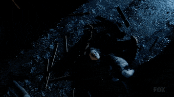 fox broadcasting cats GIF by Gotham