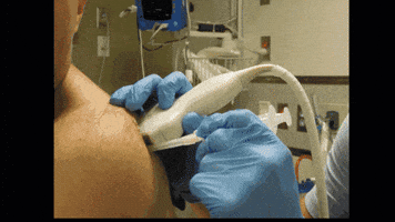 downeastem  GIF