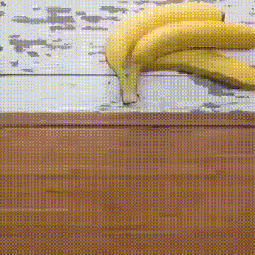 sova  GIF