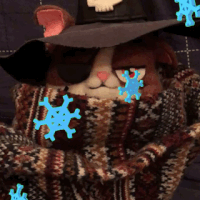wilbur the cat GIF by Bubble Witch