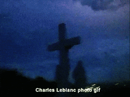 andrefaust charles leblanc GIF