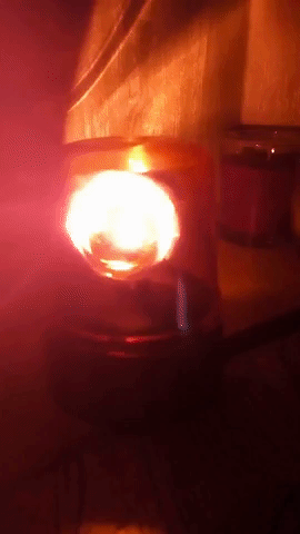 cristidorombach girofaru GIF