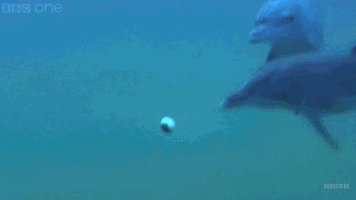 zgfydghzaxromdfaz21hawwuy29t  GIF