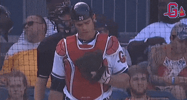 come on man GIF by Gwinnett Braves