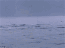 mrdaba there it goes GIF