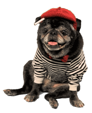 French Dog Sticker by Originals