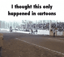 dirty horse cowboy WHOAAA horse stop GIF