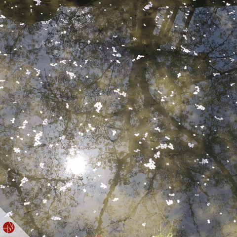 assistant  GIF