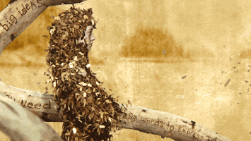 Title Sequence Netflix GIF by Art of the Title