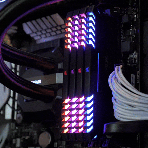 GIF by CORSAIR - Find & Share on GIPHY