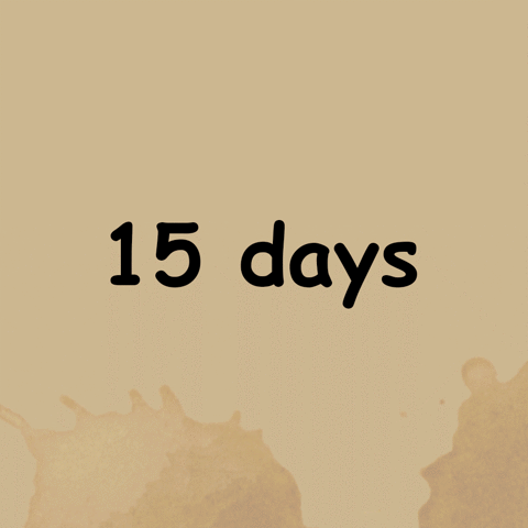 crapappella crapappella countdown GIF