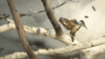 Title Sequence Netflix GIF by Art of the Title