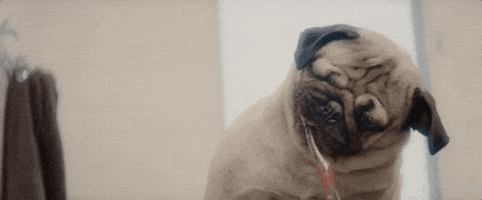 200.gif?cid=fc005b083beff7c610cd933de5028e1db0a90e3cf7ea769e&rid=200.gif&ct=g