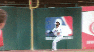 catch rob GIF by Kane County Cougars