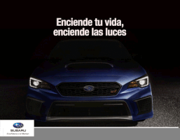 Subaru cars subaru carros autos GIF