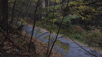 fall fitness GIF by Quote Catalog