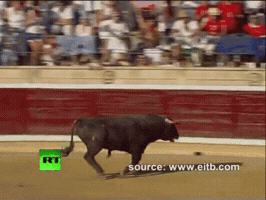 zior bull toro GIF