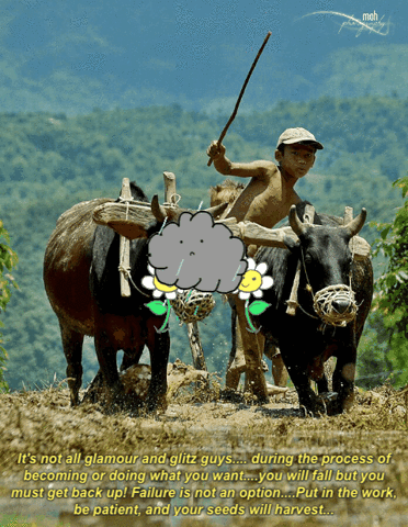 neupane  GIF