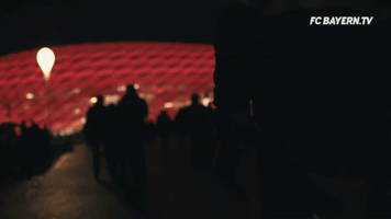 allianz arena fans GIF by FC Bayern Munich