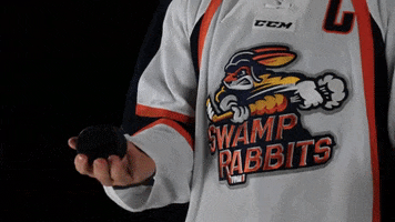 hockey puck GIF by Greenville Swamp Rabbits