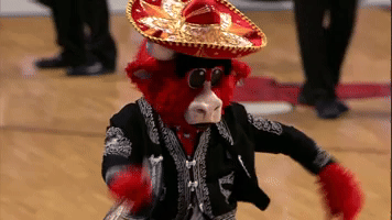 Chicago Bulls Basketball GIF by NBA