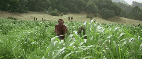 planet of the apes hide GIF by MANGOTEETH