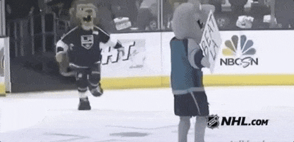 Ice Hockey Mascot GIF by NHL
