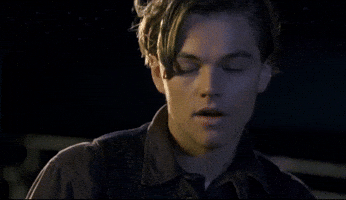 leonardo dicaprio ok GIF