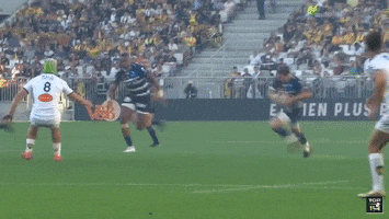 french course GIF by UBB Rugby