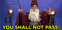 You Shall Not Pass Harry Potter GIF by Team Coco